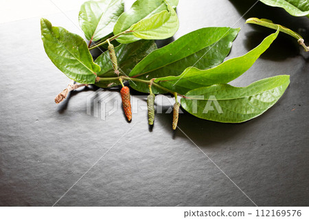 黑色背景上的 Hihatsu 112169576