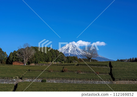 Spectacular view of Mt. Fuji and vast tea fields against the blue sky Spectacular view of Mt. Fuji and vast tea fields against the blue sky 112169852