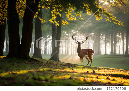 Asahi deer 9 112170506