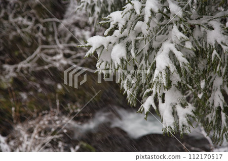 朝倉一條瀑布被雪覆蓋 朝倉一條瀑布被雪覆蓋 112170517