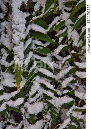 朝倉一條瀑布被雪覆蓋 朝倉一條瀑布被雪覆蓋 112170535