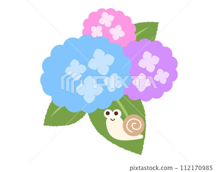 Rainy season_hydrangea with a snail on it Rainy season_hydrangea with a snail on it 112170985