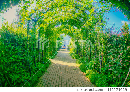 在森林裡的長凳 在森林裡的長凳 112171629