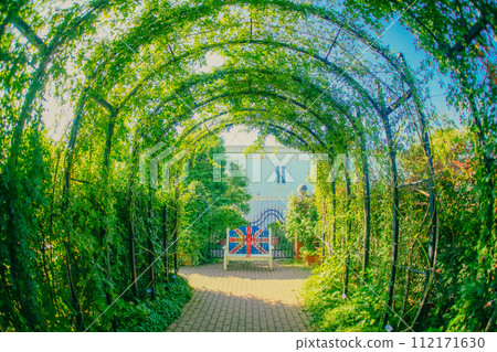  在森林裡的長凳 112171630