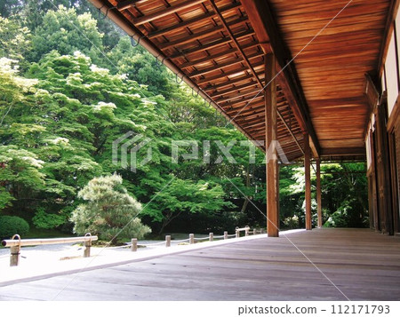 南禪寺天壽園新綠時節的景色 112171793