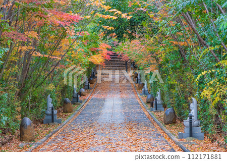 Rinno-ji Temple Late Autumn 112171881
