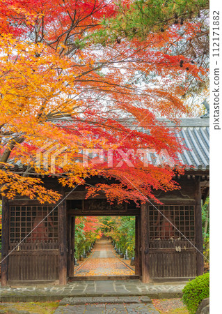Rinno-ji Temple Late Autumn 112171882
