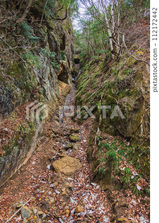 Valley of Yamaseiji [Ikusaka Village, Higashichikuma District] 112172442