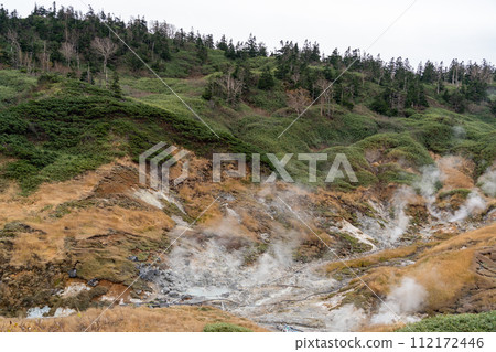 Fujichichi Onsen Saiunso Hachimantai City, Iwate Prefecture 112172446