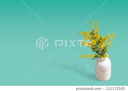 含羞草的黃花 112172585