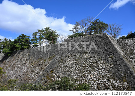 伊賀上野城堡 112173847
