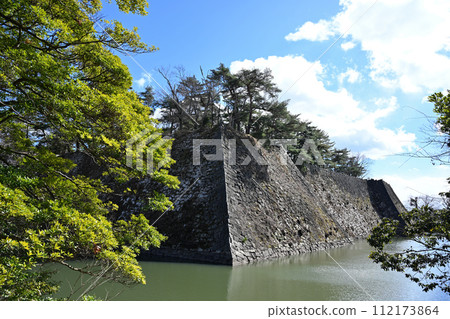 伊賀上野城堡 伊賀上野城堡 112173864