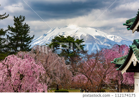 Beautiful Cherry Blossom and Mount Iwaki Beautiful Cherry Blossom and Mount Iwaki 112174175