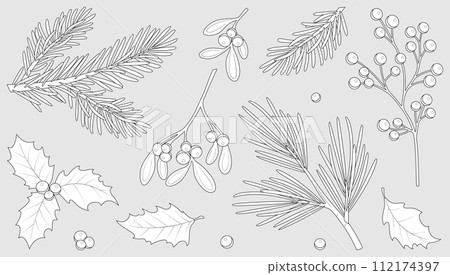 Winter berries and leaves. Christmas floral collection. Botanical print set. Winter berries and leaves. Christmas floral collection. Botanical print set. 112174397