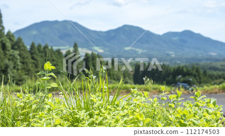 Fresh greenery and early summer cycling image (Hiruzen Plateau) 112174503