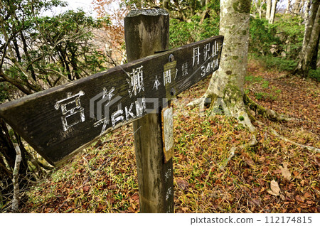 丹澤山脈的本間頭山頂 112174815