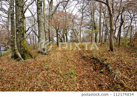 丹澤山脈瀨戶澤之山頂 112174834