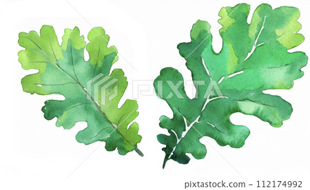 柏葉柏麻糬“生成AI” 112174992