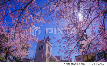 橫濱元町櫻花和橫濱山手聖公會 橫濱元町櫻花和橫濱山手聖公會 112175267