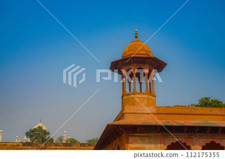 泰姬陵大塔門（印度阿格拉） 112175355