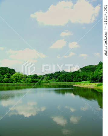 Sendabori Pond and fresh greenery in the 21st century forest and square in early summer 112175503