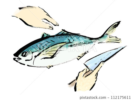 正在處理的魚(鯖魚)的日式手寫插圖 正在處理的魚(鯖魚)的日式手寫插圖 112175611