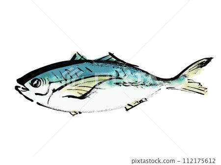 日式手繪插畫魚（竹莢魚） 112175612