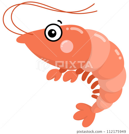 Shrimp  112175949