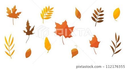 leaves foliage autumn set elements forest colored 112176355