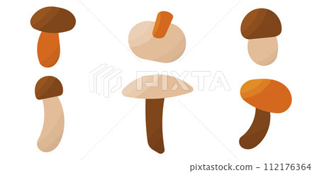 mushrooms autumn forest pick color set elements 112176364