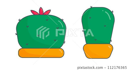 cactus green needles pot yellow set elements cactus green needles pot yellow set elements 112176365