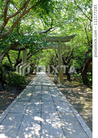 被綠色植物包圍的方法 112177285