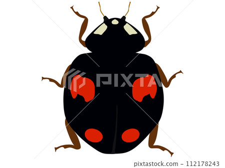Beneficial insect “Nami lady beetle” four-pattern pattern, four red patterns on a black background 112178243