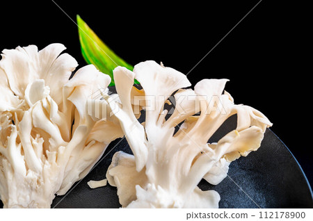 White mushrooms on black background White mushrooms on black background 112178900