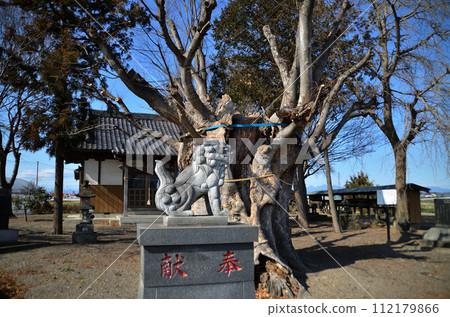 Chikata Shrine in Kojima, Honjo City, Saitama Prefecture 112179866