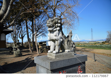 埼玉縣本莊市兒島的近多神社 112179867