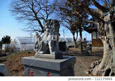 埼玉縣本莊市兒島的近多神社 112179868