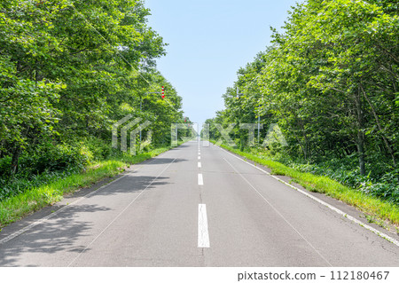A straight road surrounded by fresh green trees (road image) A straight road surrounded by fresh green trees (road image) 112180467