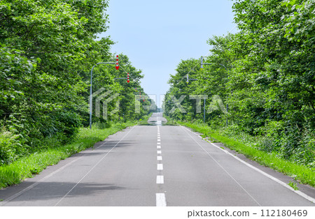 一條筆直的道路,周圍環繞著新鮮的綠樹 一條筆直的道路,周圍環繞著新鮮的綠樹 112180469