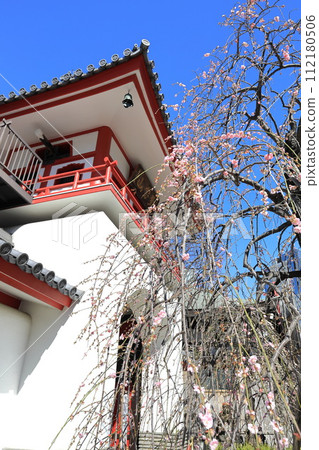 Joganji Temple, Nakano-ku, Tokyo 112180506