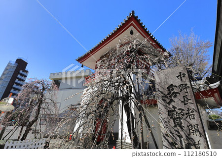 Joganji Temple, Nakano-ku, Tokyo 112180510