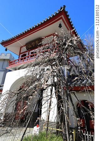 Joganji Temple, Nakano-ku, Tokyo 112180512