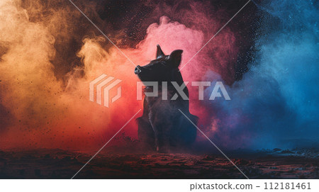 Pig silhouette on color powder background Pig silhouette on color powder background 112181461