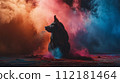Pig silhouette on color powder background 112181464