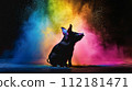 Pig silhouette on color powder background 112181471
