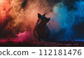 Pig silhouette on color powder background 112181476