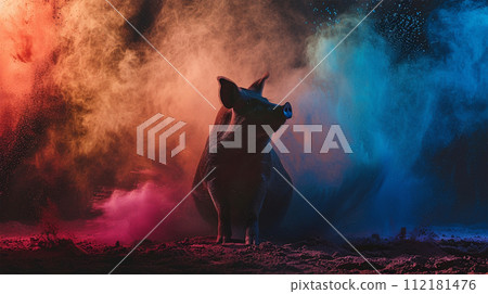Pig silhouette on color powder background Pig silhouette on color powder background 112181476