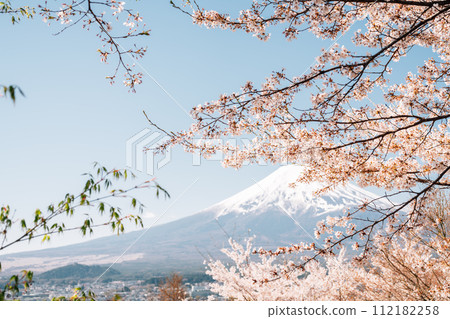 Fuji Mountain with cherry blossoms from Arakurayama Sengen Park in Yamanashi, Japan Fuji Mountain with cherry blossoms from Arakurayama Sengen Park in Yamanashi, Japan 112182258