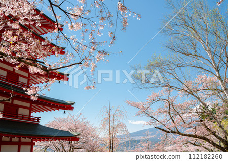 Arakurayama Sengen Park Chureito Pagoda and Fuji Mountain with cherry blossoms in Yamanashi, Japan Arakurayama Sengen Park Chureito Pagoda and Fuji Mountain with cherry blossoms in Yamanashi, Japan 112182260