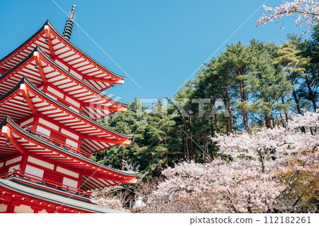 Arakurayama Sengen Park Chureito Pagoda with cherry blossoms in Yamanashi, Japan 112182261